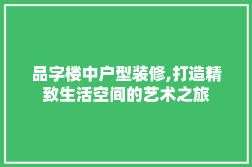 品字楼中户型装修,打造精致生活空间的艺术之旅 现代风格装饰