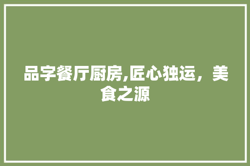 品字餐厅厨房,匠心独运，美食之源