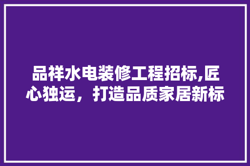 品祥水电装修工程招标,匠心独运，打造品质家居新标杆 现代风格装饰