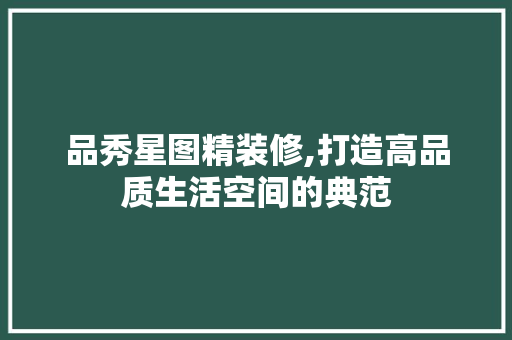 品秀星图精装修,打造高品质生活空间的典范 客厅装修