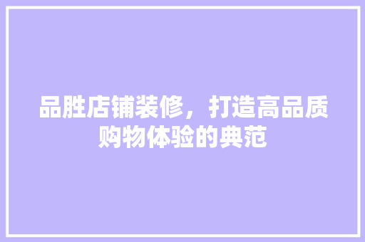 品胜店铺装修，打造高品质购物体验的典范 家居装修