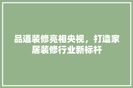 品道装修亮相央视，打造家居装修行业新标杆 现代风格装饰
