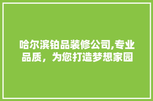 哈尔滨铂品装修公司,专业品质，为您打造梦想家园 现代风格装饰