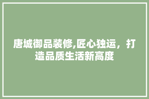 唐城御品装修,匠心独运，打造品质生活新高度