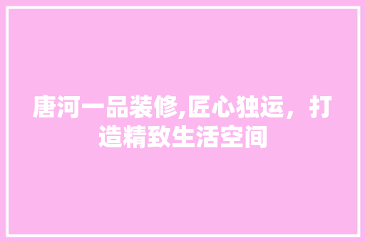 唐河一品装修,匠心独运，打造精致生活空间 家居装修