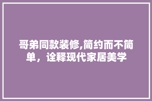 哥弟同款装修,简约而不简单，诠释现代家居美学 木雕艺术