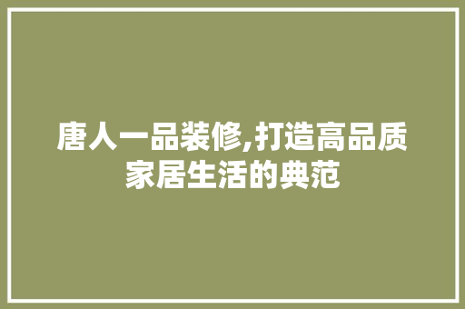 唐人一品装修,打造高品质家居生活的典范 现代风格装饰