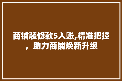 商铺装修款5入账,精准把控，助力商铺焕新升级 木雕艺术