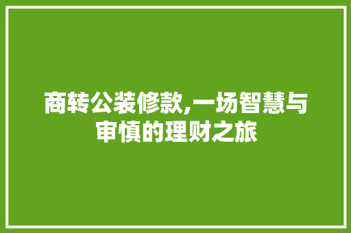 商转公装修款,一场智慧与审慎的理财之旅
