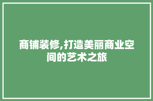 商铺装修,打造美丽商业空间的艺术之旅 中式风格装饰