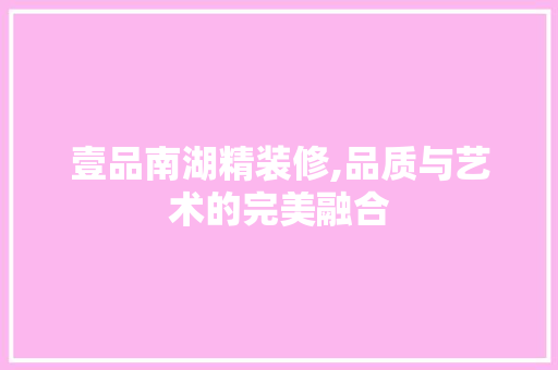 壹品南湖精装修,品质与艺术的完美融合
