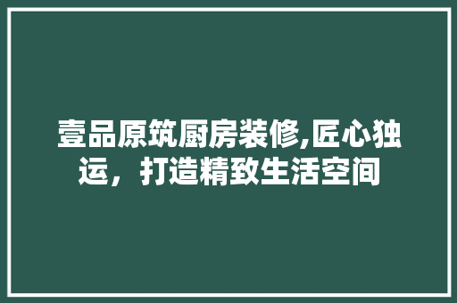 壹品原筑厨房装修,匠心独运，打造精致生活空间 客厅装修