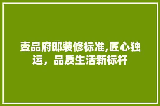 壹品府邸装修标准,匠心独运，品质生活新标杆