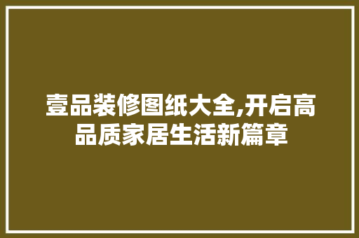 壹品装修图纸大全,开启高品质家居生活新篇章 客厅装修