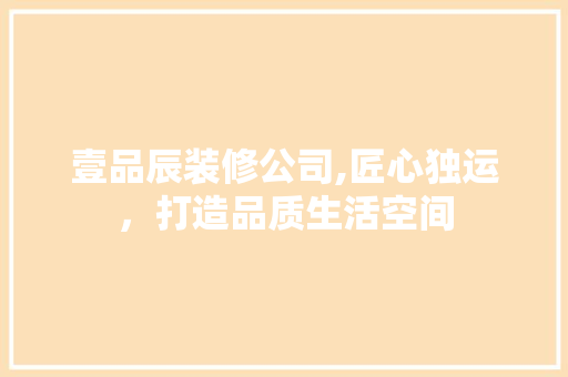 壹品辰装修公司,匠心独运，打造品质生活空间 现代风格装饰