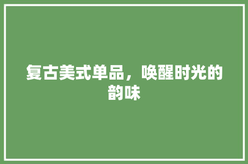 复古美式单品，唤醒时光的韵味 室内设计