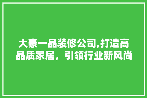 大豪一品装修公司,打造高品质家居，引领行业新风尚