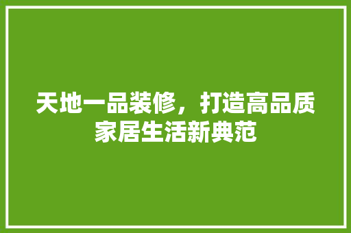 天地一品装修，打造高品质家居生活新典范 中式风格装饰