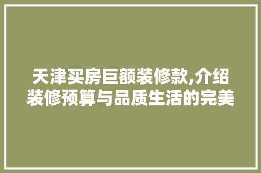 天津买房巨额装修款,介绍装修预算与品质生活的完美平衡 客厅装修