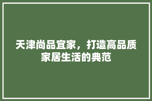 天津尚品宜家，打造高品质家居生活的典范 现代风格装饰