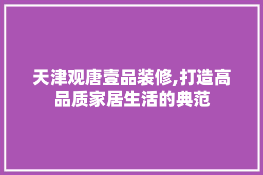 天津观唐壹品装修,打造高品质家居生活的典范 家居装修