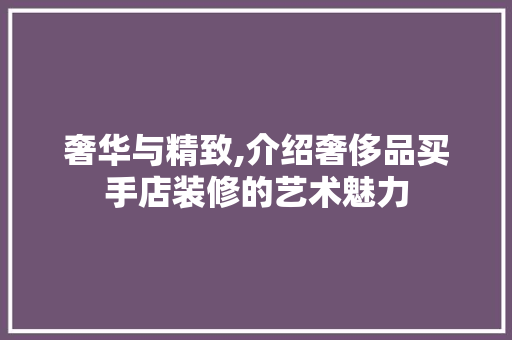 奢华与精致,介绍奢侈品买手店装修的艺术魅力 现代风格装饰