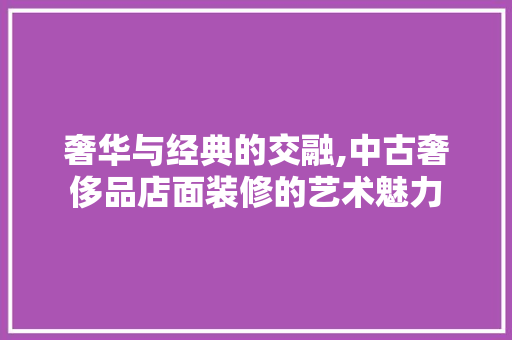 奢华与经典的交融,中古奢侈品店面装修的艺术魅力 现代风格装饰