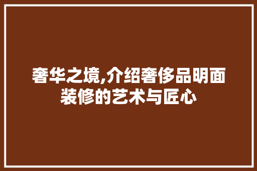 奢华之境,介绍奢侈品明面装修的艺术与匠心 软装设计
