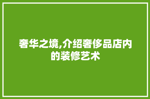 奢华之境,介绍奢侈品店内的装修艺术 室内设计