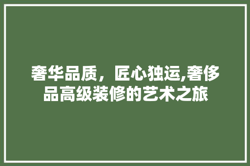 奢华品质，匠心独运,奢侈品高级装修的艺术之旅 家居装修