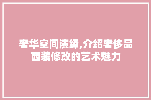奢华空间演绎,介绍奢侈品西装修改的艺术魅力 现代风格装饰