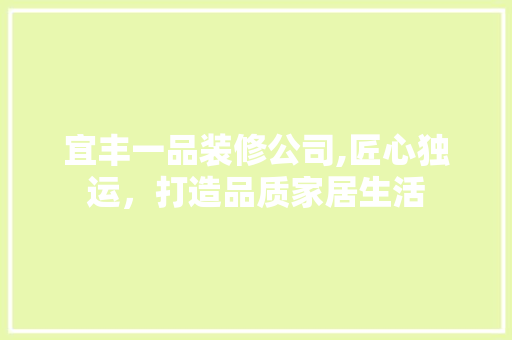 宜丰一品装修公司,匠心独运，打造品质家居生活 客厅装修