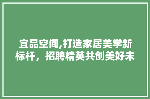 宜品空间,打造家居美学新标杆，招聘精英共创美好未来 室内设计