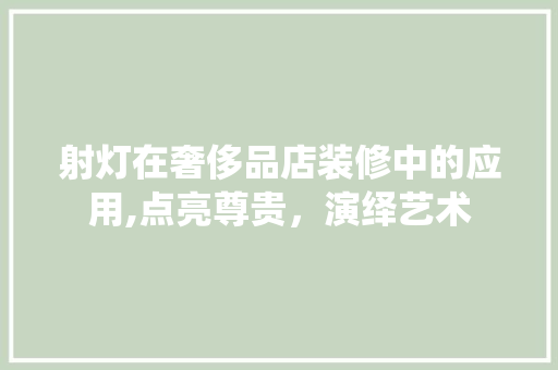 射灯在奢侈品店装修中的应用,点亮尊贵，演绎艺术 地板材料