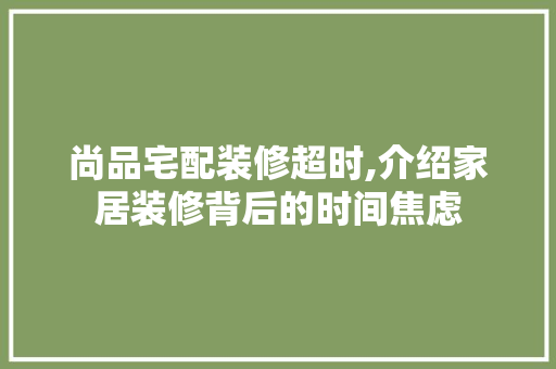 尚品宅配装修超时,介绍家居装修背后的时间焦虑 中式风格装饰