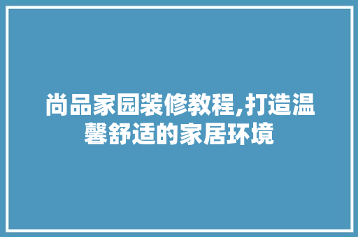 尚品家园装修教程,打造温馨舒适的家居环境 现代风格装饰