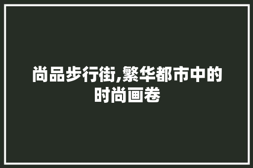 尚品步行街,繁华都市中的时尚画卷 软装设计