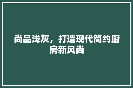 尚品浅灰，打造现代简约厨房新风尚 地板材料