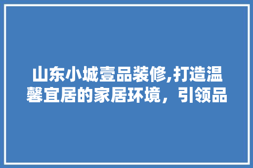 山东小城壹品装修,打造温馨宜居的家居环境，引领品质生活新潮流 室内设计