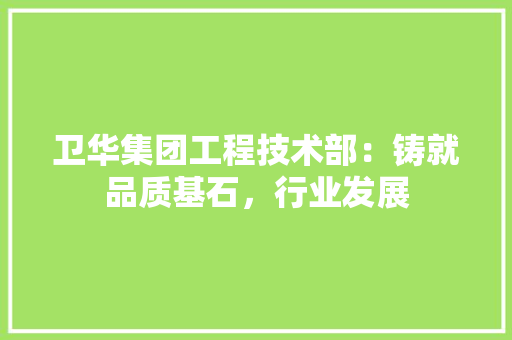 卫华集团工程技术部：铸就品质基石，行业发展 家居装修