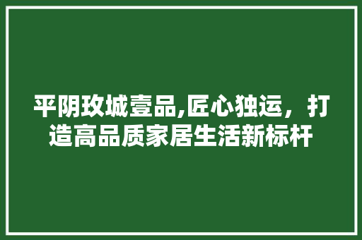 平阴玫城壹品,匠心独运，打造高品质家居生活新标杆