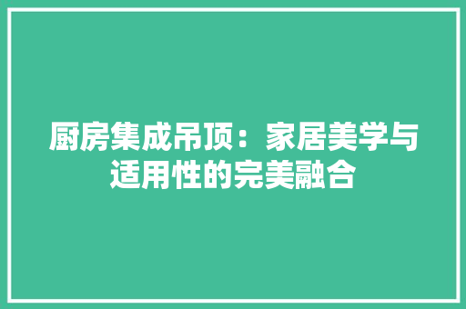 厨房集成吊顶：家居美学与适用性的完美融合