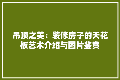 吊顶之美：装修房子的天花板艺术介绍与图片鉴赏