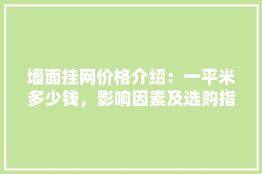 墙面挂网价格介绍：一平米多少钱，影响因素及选购指南