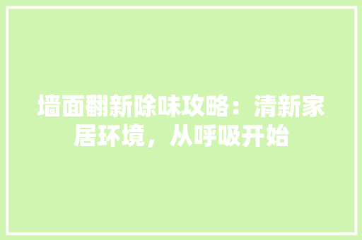 墙面翻新除味攻略：清新家居环境，从呼吸开始