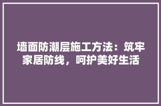 墙面防潮层施工方法：筑牢家居防线，呵护美好生活
