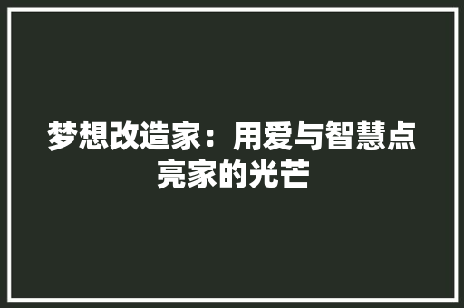 梦想改造家：用爱与智慧点亮家的光芒 地板材料