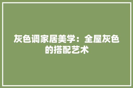 灰色调家居美学：全屋灰色的搭配艺术 现代风格装饰
