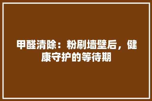 甲醛清除：粉刷墙壁后，健康守护的等待期 现代风格装饰