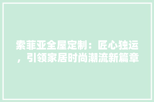 索菲亚全屋定制：匠心独运，引领家居时尚潮流新篇章 地板材料